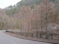 20180417_070953_8801642953239206190