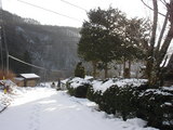 d53f6a7a.JPG