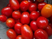 DSCPDC_0003_BURST20190721153918482_COVER