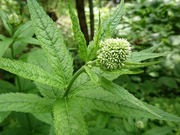 DSCPDC_0000_BURST20210622093009288