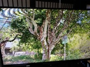 DSCPDC_0003_BURST20200227065744625_COVER