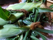 16611160941227965250843958822398