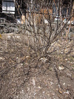 2016-03-31 003