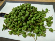 16575181679291913959402446420275