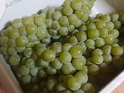 16626246986696437551555752790019