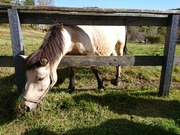 DSCPDC_0003_BURST20211014141217238_COVER