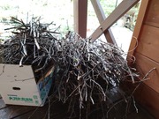 16647792418718200181565210397782