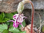 DSCPDC_0003_BURST20200426082902636_COVER