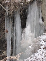 IMG_5778