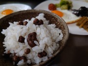 16647520540628021584700847023572