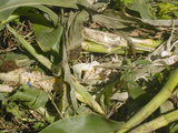 f710ab02.JPG