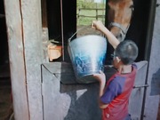 DSCPDC_0002_BURST20220127193915412_COVER