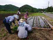 DSCPDC_0001_BURST20210620155105876_COVER