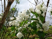 DSCPDC_0001_BURST20210628143948772