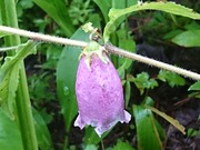 DSCPDC_0003_BURST20210816065803130_COVER