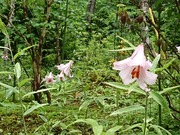 DSCPDC_0003_BURST20210702110902691_COVER