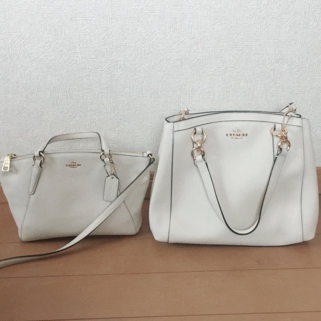ミニマリストの持ち物】ひと回り大きいバッグを購入。 : 持たない 