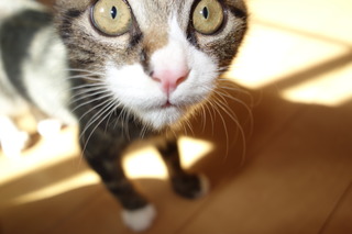 DSC00001