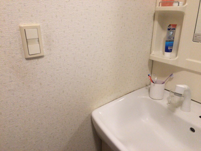 １００均 リメイクシートで洗面所をちょこっとdiy 持たない暮らし ミニマム生活 ねこと暮らすミニマリスト