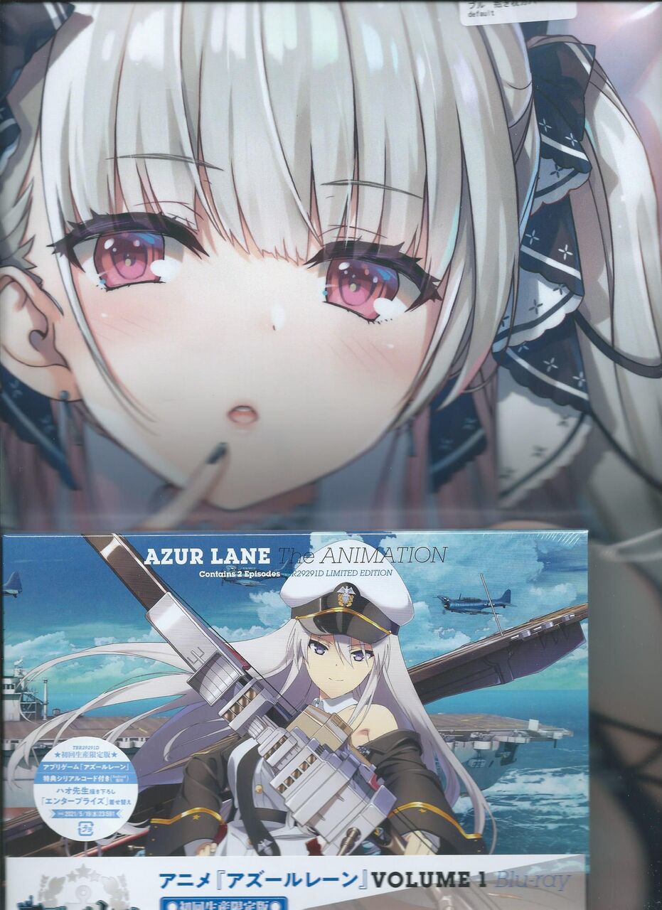 アズレン なんだ 買ったアイテムを晒していいのか アズレン攻略まとめ速報