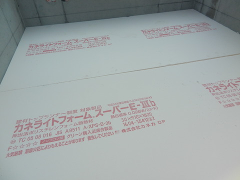 DSCN7955