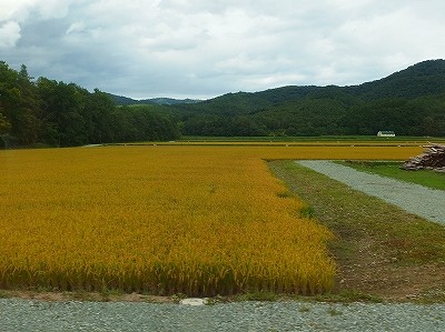 P9121030