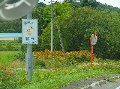P9121052