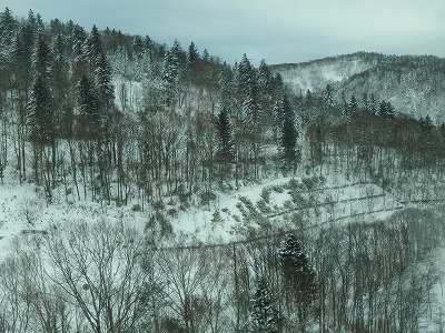 PC103632