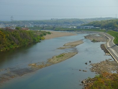 P4220524