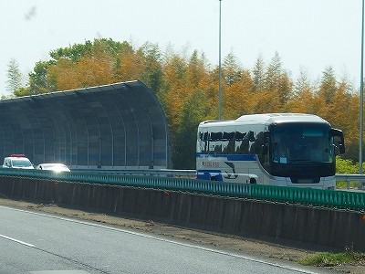 P4220548