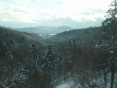 PC103661