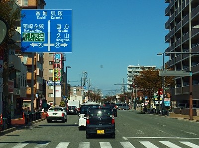 PA316875