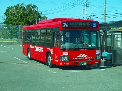 PA316936