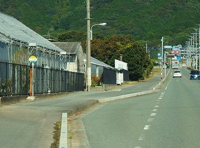 PA316901