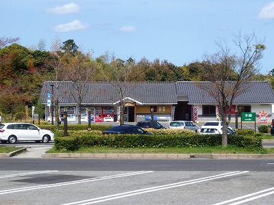 P4121542