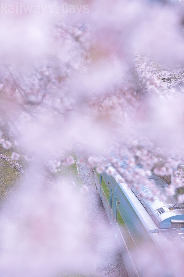140406_0090