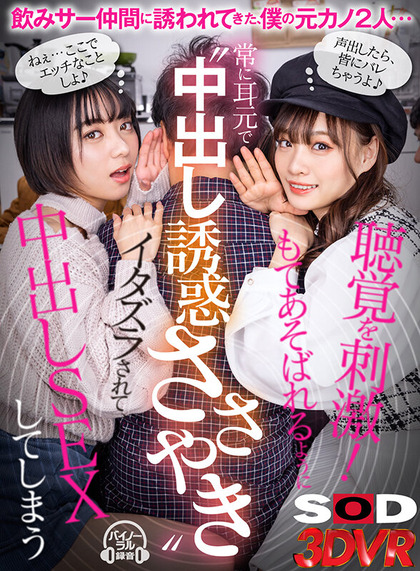 13dsvr01118jp-1