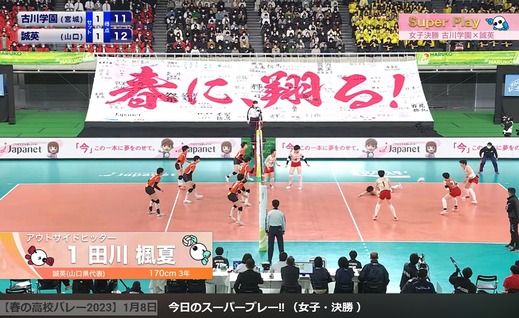 女子バレーが魅せる瑞々しい感性溢れるtop画像