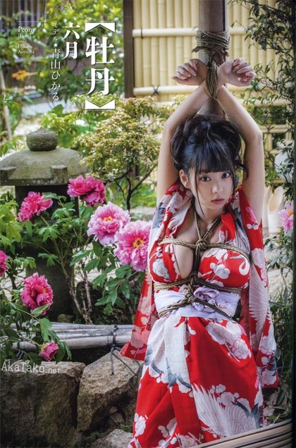 青山ひかる