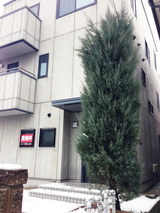 堺市元町1