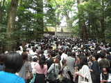 CIMG3473