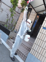 虫駆除2