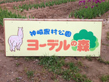 �衼�ǥ�ο�11