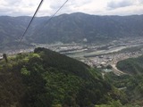 IMG_1241