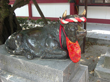 牛