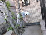 虫駆除4