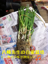 BlogPaint