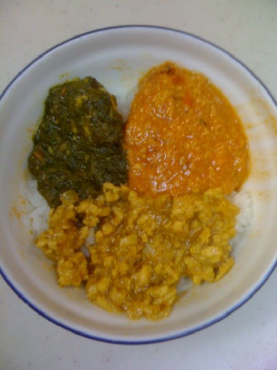 チキンマカニとチキンサグ インド料理に興味津々