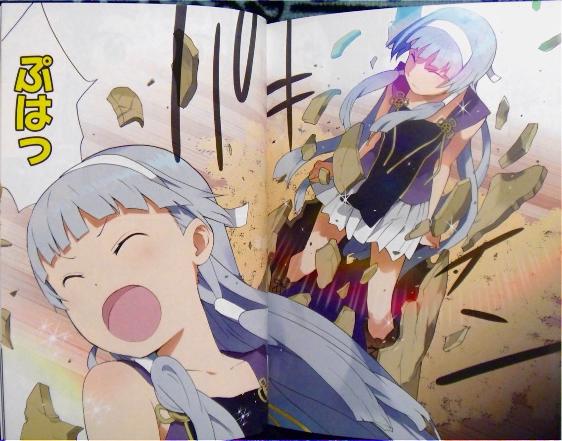 かんなぎ 第08巻限定版 武梨えり 書棚 かんなぎ 第08巻限定版 武梨えり 書棚