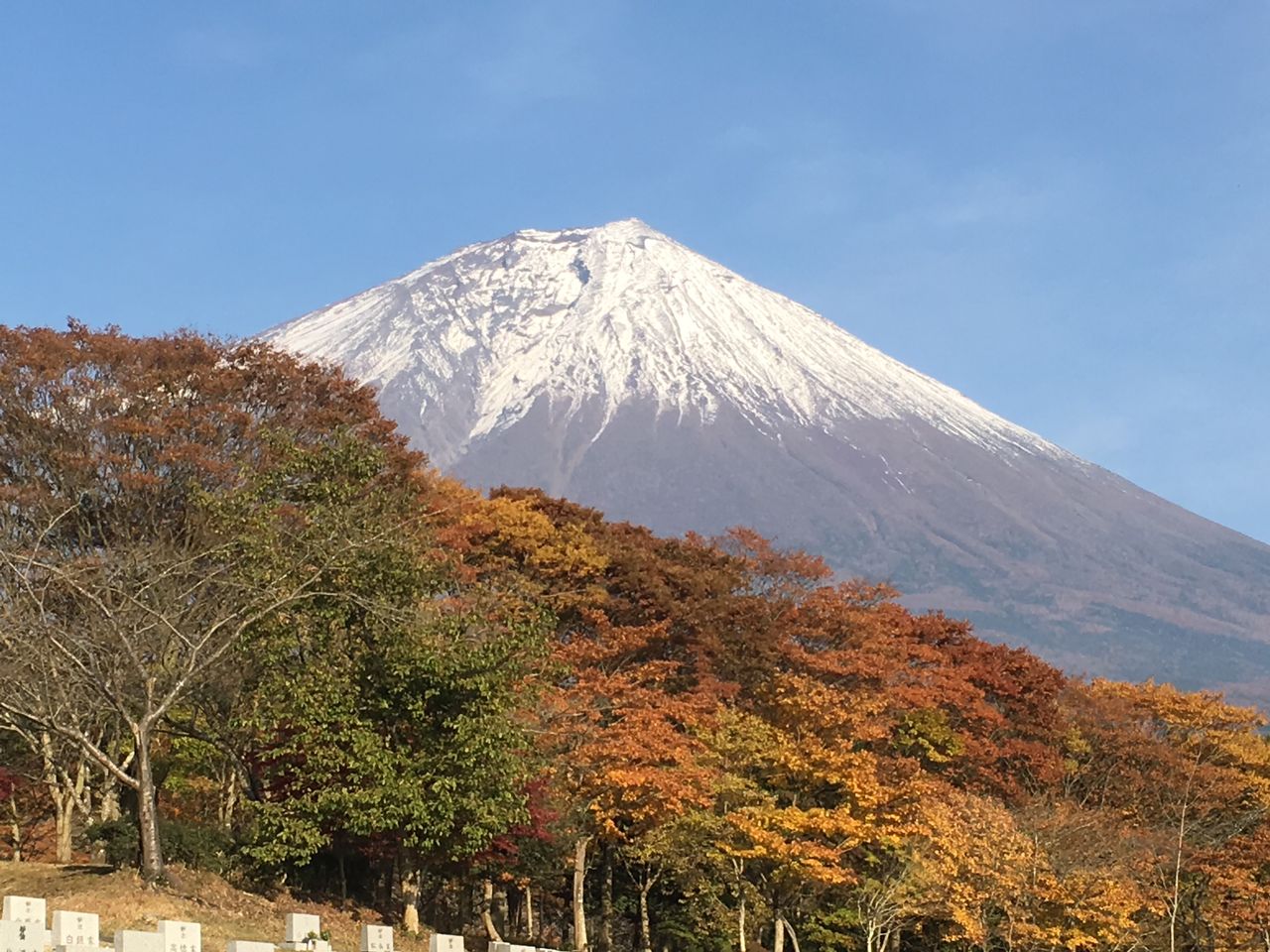 富士桜自然墓地公園 ｂ1クラブの釣行日誌